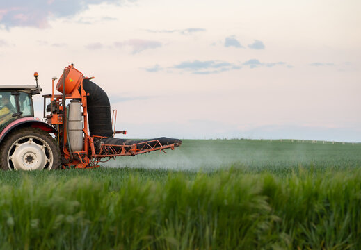 Tractor spraying wheat field with sprayer, herbicides and pesticides