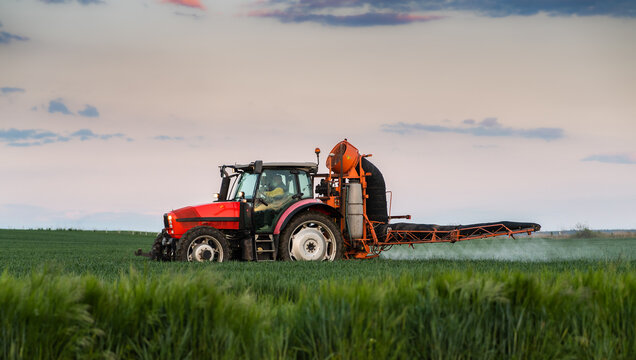 Tractor spraying wheat field with sprayer, herbicides and pesticides