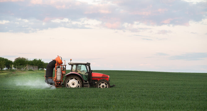 Tractor spraying wheat field with sprayer, herbicides and pesticides