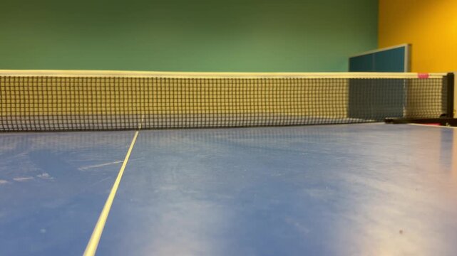 Table tennis and ping pong  net