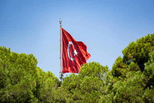 View of Turkish flag waving above green trees.