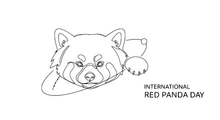 Fototapeta premium Red Panda Line Art Isolated Transparent Background International Day Celebration