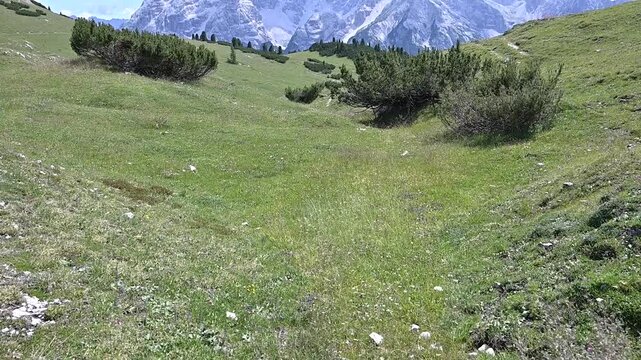 Iconic, dreamlike Dolomites. The Sesto Dolomites, between Monte Cristallo and the Tre Cime di Lavaredo in summer. With hiking and climbing.