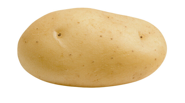 Single raw whole potato with light brown skin and organic texture