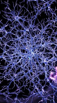 Intricate Network of Neurons: A Captivating Exploration of the Complex Web of Neural Connections and Their Role in Biological Processes