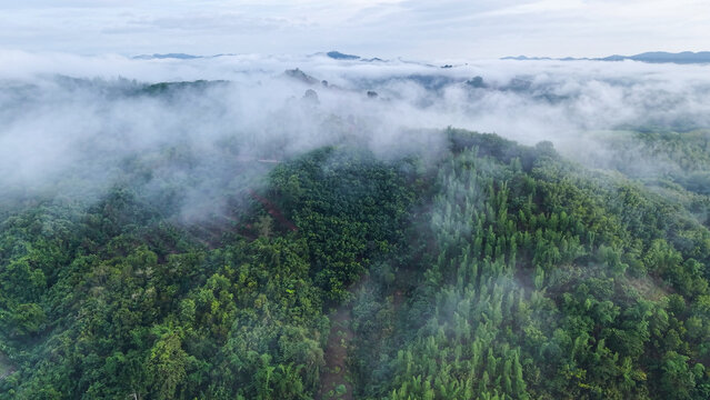 Aerial view of wooden cabin in the mountains on foggy morning by drone