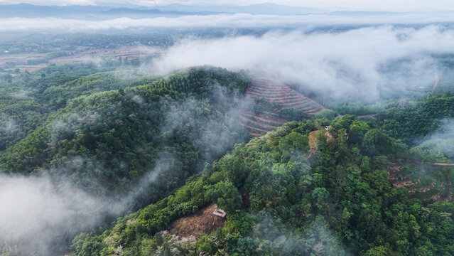 Aerial view of mountains and forest on cloudy morning
