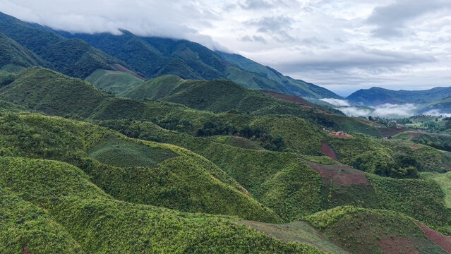 Aerial view from drone of the forest and mountain range