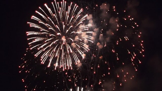 Red and white fireworks bursting in the dark night sky