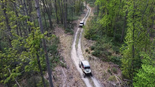 Epic cinematic video capturing side-by-side driving underneath a drone as it booms down or descends in altitude while tilting up to show early spring forest