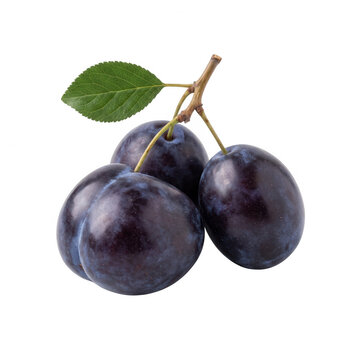 Trois prunes violettes m&ucirc;res et fra&icirc;ches avec une tige et une feuille verte isol&eacute;es sur un fond blanc, captur&eacute;es en studio avec un &eacute;clairage uniforme pour mettre en valeur la texture de la peau.