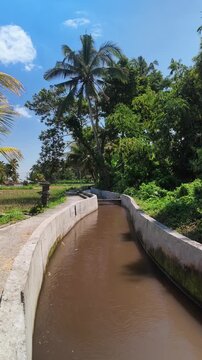Concrete Water Irrigation Canal in Tropical Rice Field Subak System
