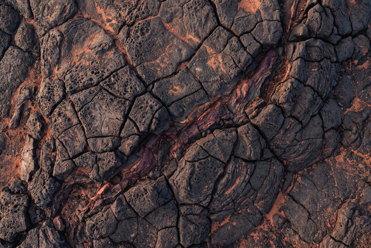 Martian cracked rock surface texture