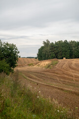 Mazury zachodnie, Polska, Europa © Jarek Zuzga