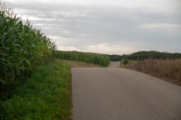 Mazury zachodnie, Polska, Europa © Jarek Zuzga