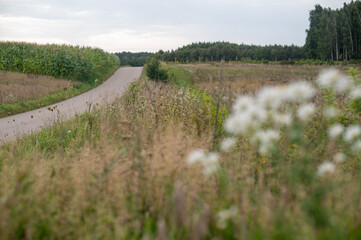 Mazury zachodnie, Polska, Europa © Jarek Zuzga