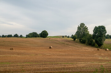 Mazury zachodnie, Polska, Europa © Jarek Zuzga