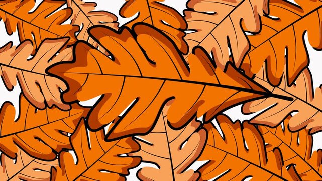 autumn oak leaves animation frame loop on overlay with transparent background