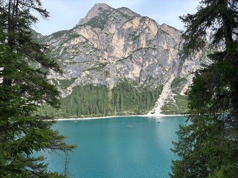 Alpi