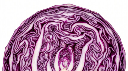 Fototapeta premium Red cabbage cross section macro detail, purple vegetable texture photo