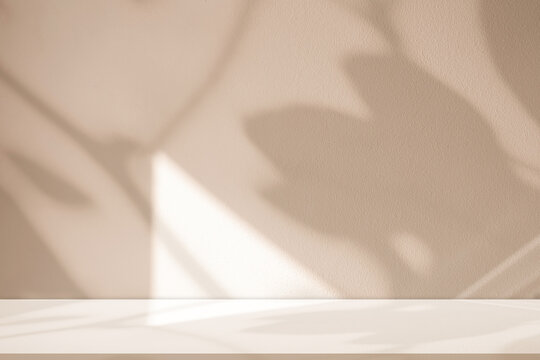 Shadow tree branch overlay on beige wall background with soft silhouette pattern and texture, warm autumn fall light and winter nature leaf shadow with space for seasonal product display banner desig
