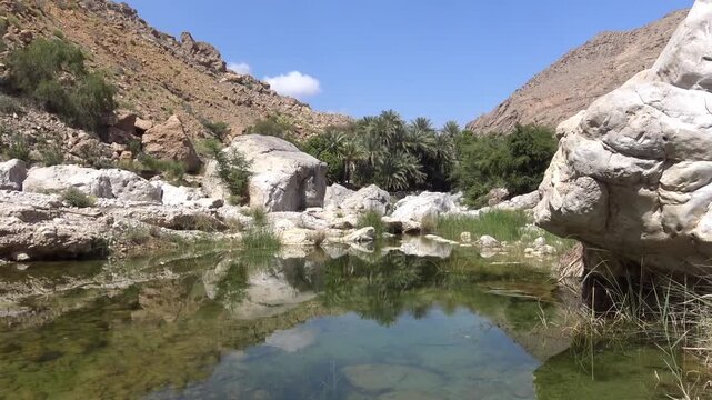 Reflection of palm trees and mountains in a still pool at Wadi Bani Khalid, Oman