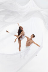 Poised ballerina balances high extension beside kneeling male dancer. Concept of discipline, flexibility, supportive partnership, personal growth, and artistic excellence. © Lustre Art Group 