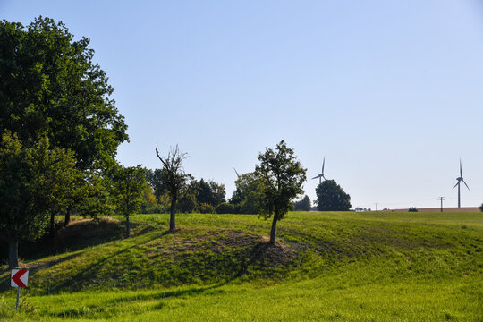 Sanfte gr&uuml;ne H&uuml;gellandschaft mit einzelnen B&auml;umen, Wiese und weitem blauem Himmel. L&auml;ndliche Natur, Sommer, Weite, Landwirtschaft, Ruhe und idyllische Kulturlandschaft.