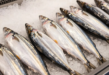 Obraz premium Fresh seafood and sustainable fishing, raw mackerel fish arranged on crushed ice in a supermarket display case for healthy nutrition and food retail