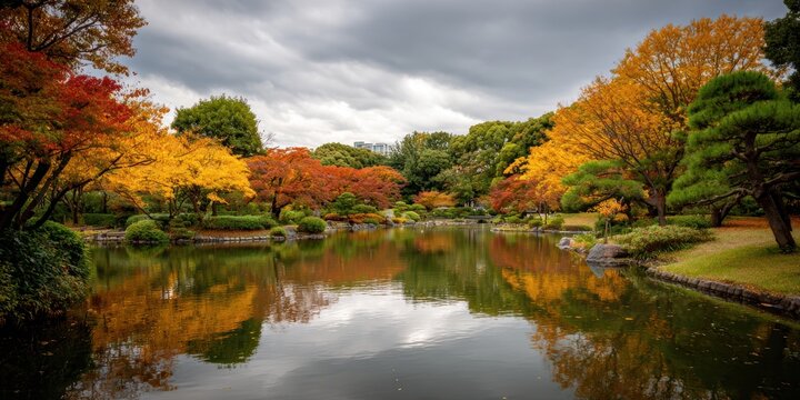 Autumn leaves in a tranquil park setting