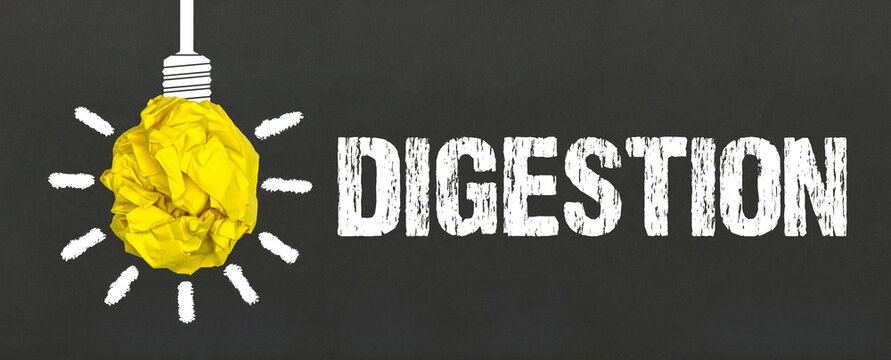 Digestion	