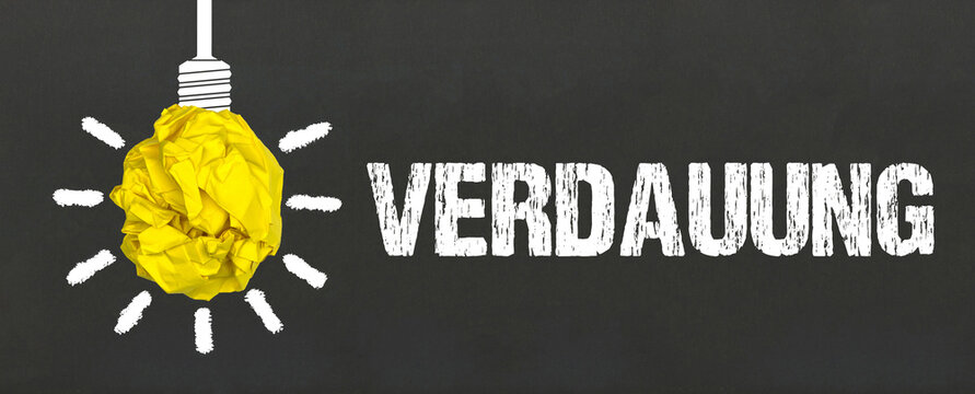 Verdauung	
