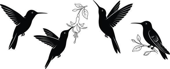 Naklejka premium Set of Bird Silhouettes in Flight, Vector Collection of Eagles, Hawks, Doves, Crows and Ravens with Wings and Feathers for Wildlife, Nature, Tattoo and Creative Design