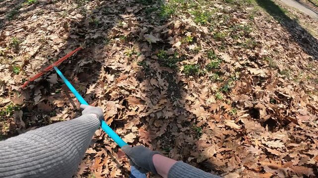 Cleaning autumn leaves with a rake in the garden, first person view (POV). Close-up of the hands of a gardener in protective gloves raking dry oak leaves with an orange rake. Autumn work