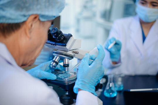 Professional team of scientists analyzing blue liquid samples in glass flasks and beakers