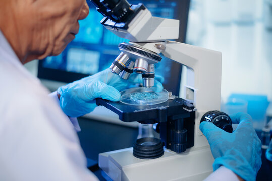 Close-up of a scientist in blue gloves adjusting a microscope to analyze a gel sample in a petri dish inside