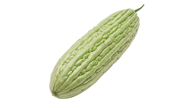 Single fresh raw bitter melon gourd vegetable isolated on transparent background for Asian cuisine traditional medicine.