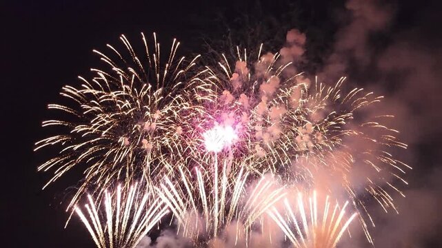Vibrant pink and red fireworks exploding in dark night sky