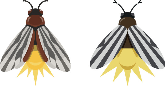 Bioluminescent firefly vector illustration pair with glowing yellow tail light effect isolated on white background
