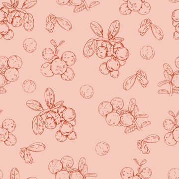 Seamless vector pattern of dark red line bearberries on light red background