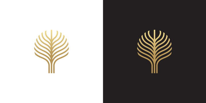 Minimalist Gold Line Art Tree Symbol Featuring Elegant Symmetrical Branching Patterns on Contrasting Black and White Backgrounds
