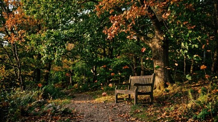 Fototapeta premium Park bench in an autumnal forest with falling leaves