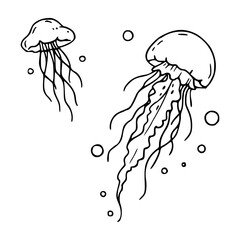 Fototapeta premium vintage hand drawn ocean jellyfish sketch