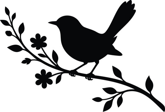 Black nightingale bird perched on white flowering plant branch white flowers