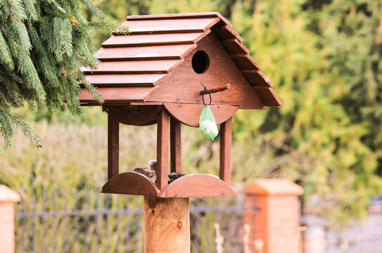 A charming wooden bird feeder