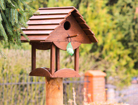 A charming wooden bird feeder