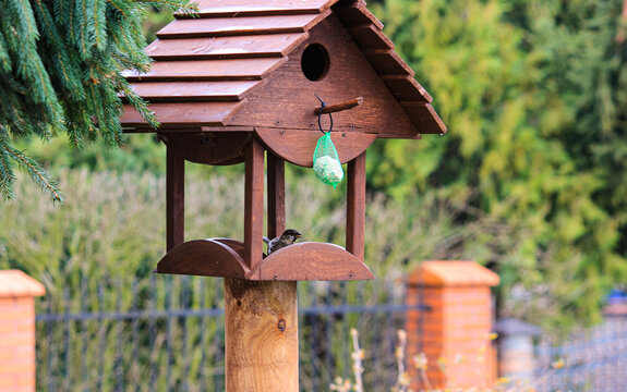 A charming wooden bird feeder