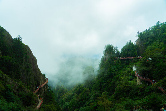 Misty mountain valley with forest cliffs and winding hiking paths
