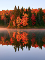 Obraz premium Autumn forest with colorful orange and red foliage reflected in calm lake at sunrise. Peaceful morning mist over water. Fall season nature landscape for travel, wallpaper and seasonal background.