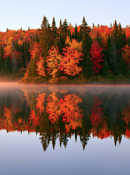 Autumn forest with colorful orange and red foliage reflected in calm lake at sunrise. Peaceful morning mist over water. Fall season nature landscape for travel, wallpaper and seasonal background.